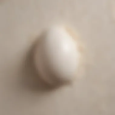 Close-up of an eggshell finish on a wall showcasing its soft sheen.