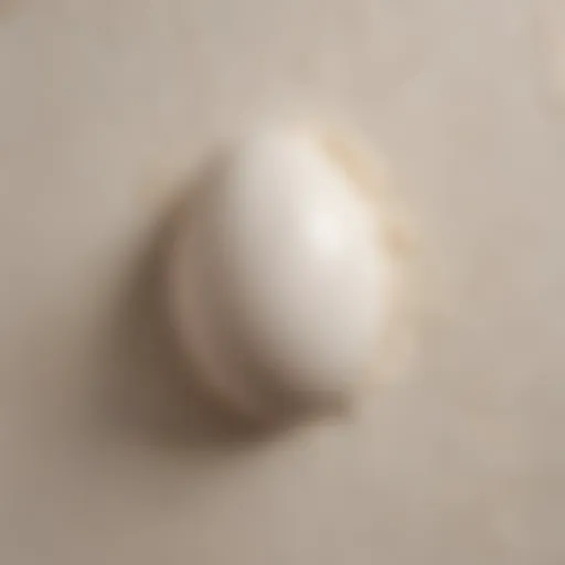 Close-up of an eggshell finish on a wall showcasing its soft sheen.