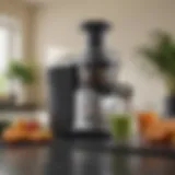 A modern Breville juicer showcasing its sleek design