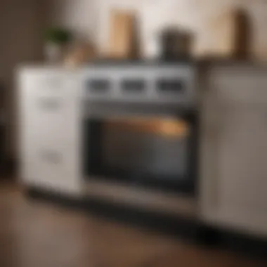 Versatile Cooker Design Elegant cooker design showcasing versatility