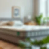 Evaluating the Most Comfortable Mattress for Your Investment Introduction