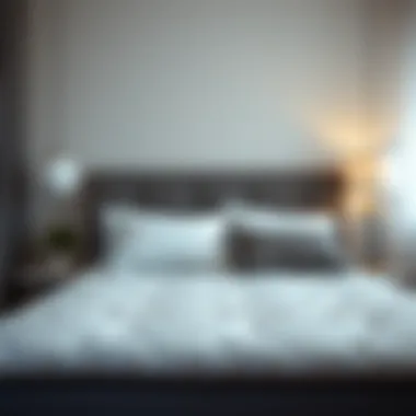 Evaluating the Most Comfortable Mattress for Your Investment Summary Evaluating the Most Comfortable Mattress for Your Investment Summary