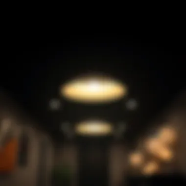 Notable Exploring Black Basement Ceiling Lights Notable Exploring Black Basement Ceiling Lights