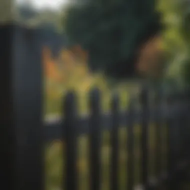 Close-Up of Black Wooden Fencing Close-up of black wooden fencing against a vibrant landscape
