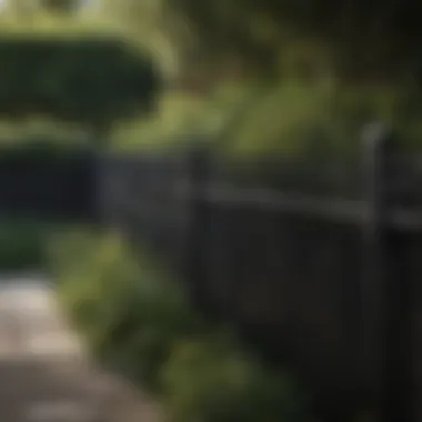 Elegant Black Fencing in Modern Garden Elegant black fencing enhancing a modern garden design
