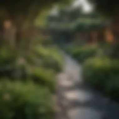 A modern landscape design incorporating evergreen elements