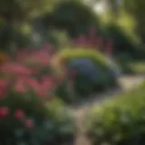 A serene garden showcasing a variety of perennial plants