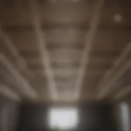 Innovative ceiling texture design showcasing a unique pattern.