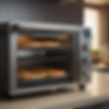 Interior Arrangement of Dishes in Toaster Oven Interior view of a dual shelf toaster oven with perfectly arranged dishes.