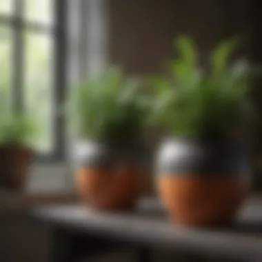 Elegant ceramic pots for indoor herb gardening