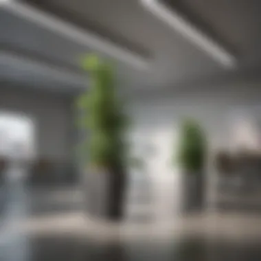 Sustainable materials used in modern office painting