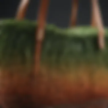Sustainable Materials of Ombre Seagrass Amelia Tote Close-up of the sustainable materials used in the Ombre Seagrass Amelia Tote Basket.