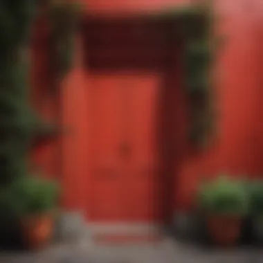 An artistic interpretation of emotions evoked by red doors