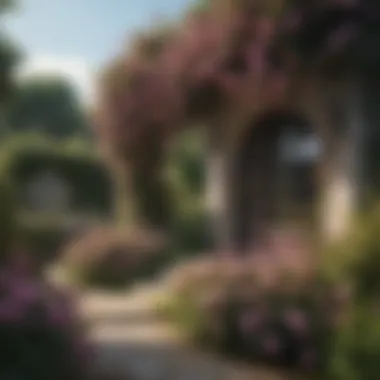 Landscaped Garden with Climbing Roses Beautifully landscaped garden featuring climbing roses