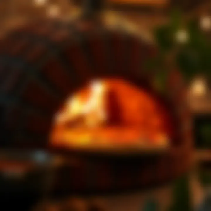 Exploring the Best Brick Oven Pizza Makers for Home Enthusiasts Summary