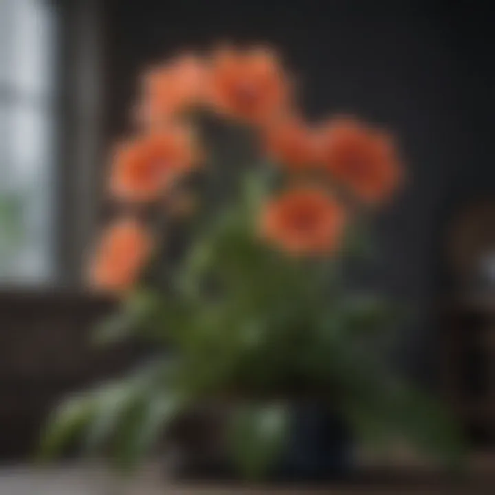 A beautiful flowering plant perfect for special occasions