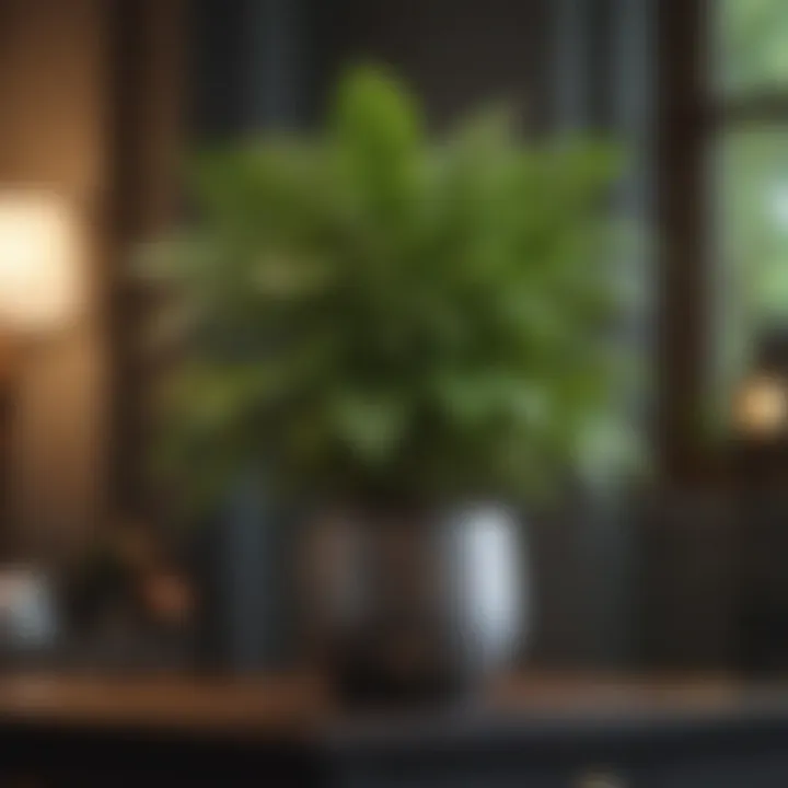A lush green plant symbolizing friendship and growth