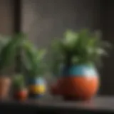 A vibrant collection of indoor plants in decorative pots