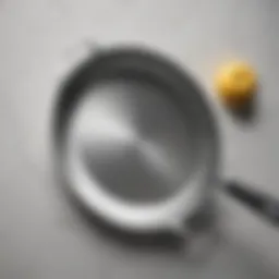 Elegant stainless steel skillet with a matching lid showcasing its sleek design