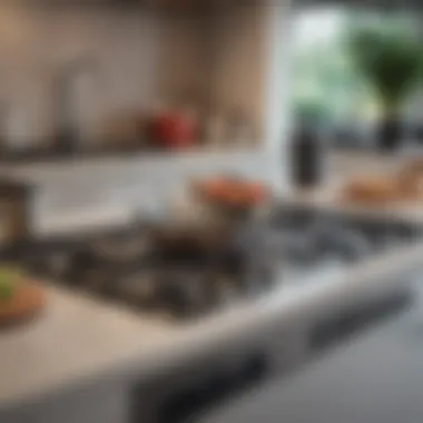 A modern kitchen featuring various stovetop types