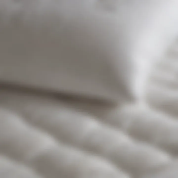 Comparison of the Martha Stewart Mattress Pad with other options