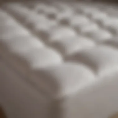 Luxurious texture of the Martha Stewart Pillow Top Mattress Pad