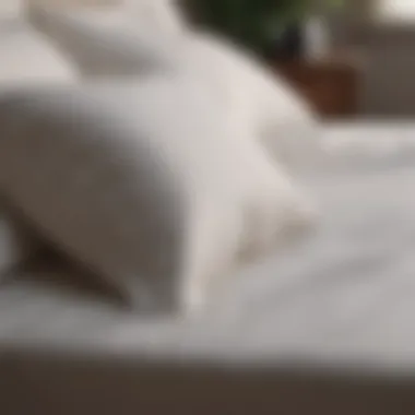 The Allure of High-Thread-Count Sheets Close-up of high-thread-count sheets with a silky finish