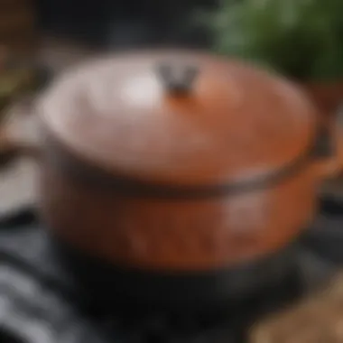 Close-up of Staub Dutch oven showcasing its intricate design