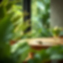 Exploring the Terrain Dining Table: A Fusion of Nature and Design Introduction