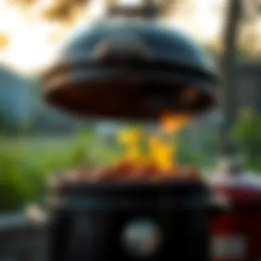 Exploring Top Rated Barbecue Grills: A Comprehensive Guide Summary Exploring Top Rated Barbecue Grills: A Comprehensive Guide Summary