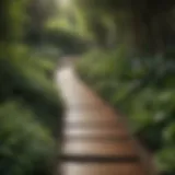 An elegant wooden pathway winding through a lush garden