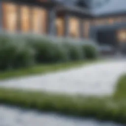 A lush, green lawn covered with light snow, highlighting winter fertilization