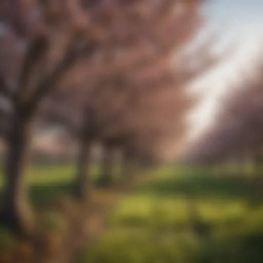 A vibrant orchard featuring a variety of fruit trees in full bloom