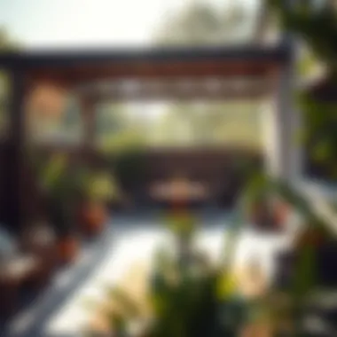 Garden Patio Bathed in Natural Light Beautiful garden patio illuminated by natural light