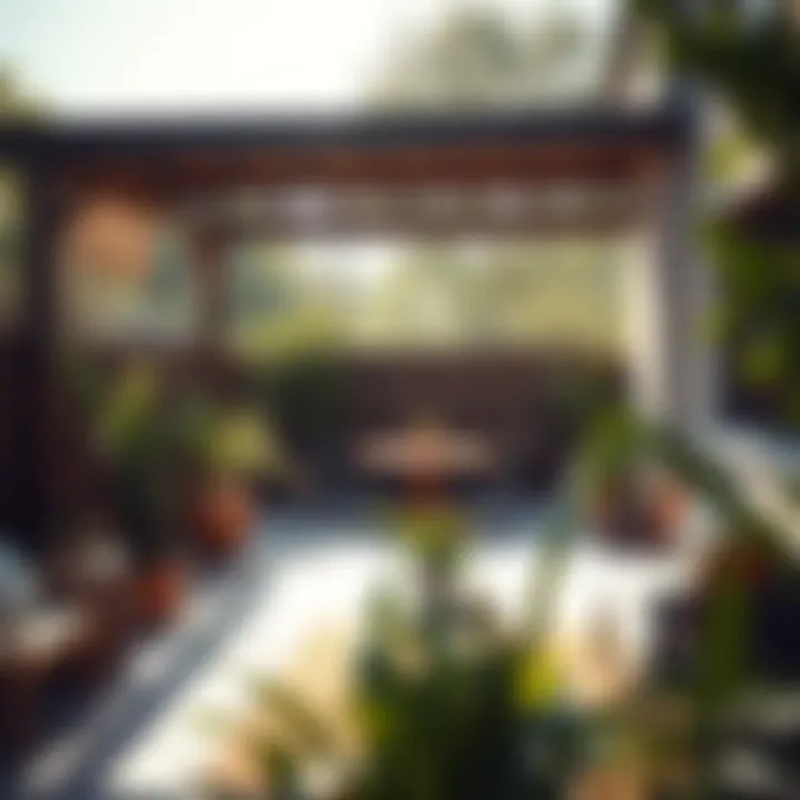 Garden Patio Bathed in Natural Light Beautiful garden patio illuminated by natural light