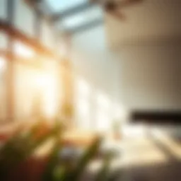 Sunlight streaming through a modern living room window