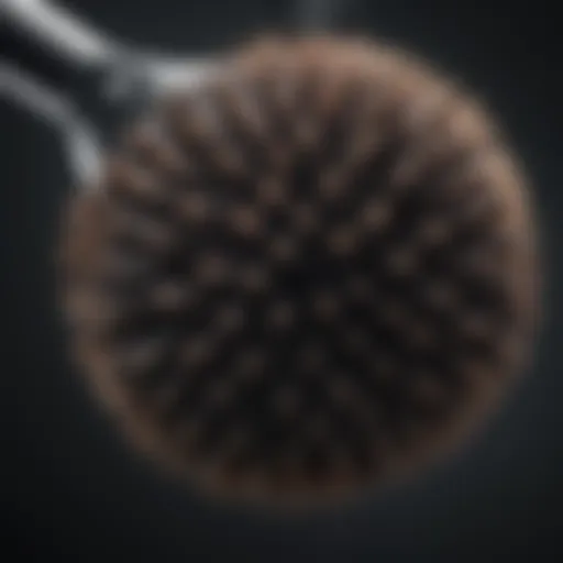 A close-up of a BBQ steam cleaner brush showing its bristles and design