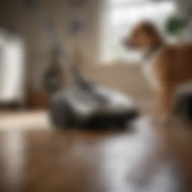 Technology behind Hoover vacuums for pet hair