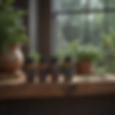 Essential oils displayed elegantly on a wooden shelf, surrounded by greenery