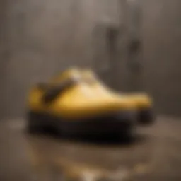 Illustration of common causes of shower clogs