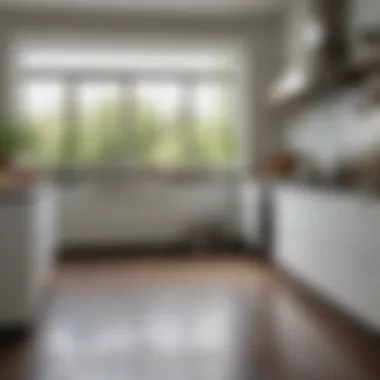 Clean Kitchen Environment A clean kitchen environment promoting maintenance