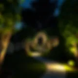 Elegant garden path illuminated at night