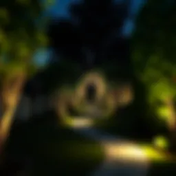 Elegant garden path illuminated at night