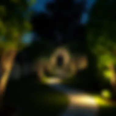 Elegant garden path illuminated at night