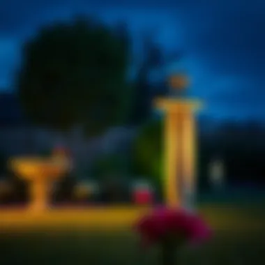 Beautiful highlighting of garden features with spotlights