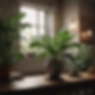 Stylish Indoor Plant Placement Stylishly placed indoor plants enhancing living space decor.
