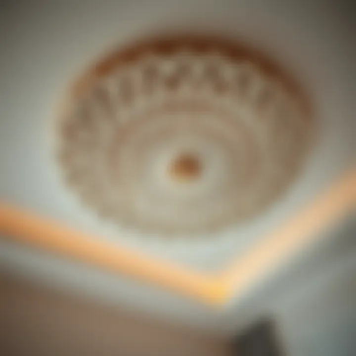 Close-up of a ceiling with a captivating design
