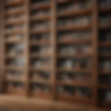Warmth of Rustic Wooden Bookshelves Rustic wooden bookshelves adding warmth and charm to an interior space.