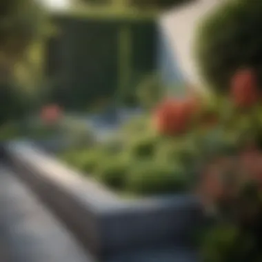 Contemporary Geometric Garden Design A contemporary garden featuring geometric designs and vibrant plant arrangements.