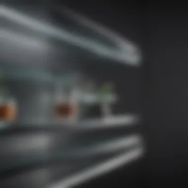 Glass and metal shelf cover reflecting contemporary style
